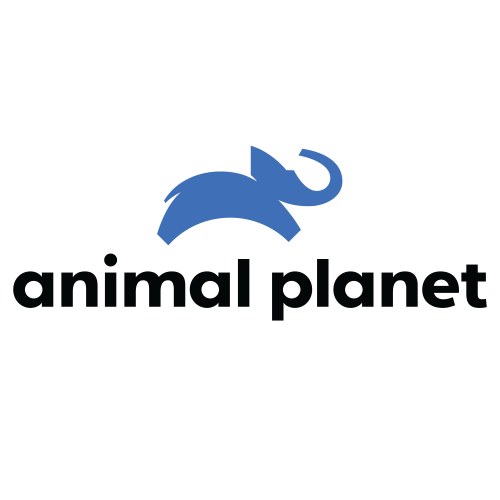 Animal Planet Channel Logo
